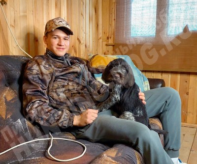 Новые владельцы